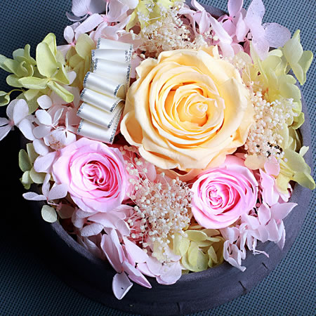 �V�ݺ���^���r�������r�� BX127