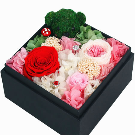 Т��Т�υ^���r�������r�� ����֮��