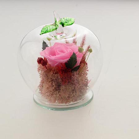 �������r�������r�� �O��