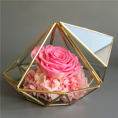 �Ϻ����t�^���r�����@ʯ���ɫ