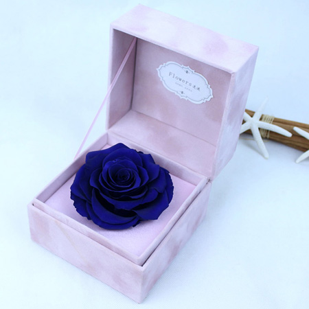 ��ƽ���r���������� �ζ��{(l��n)õ��