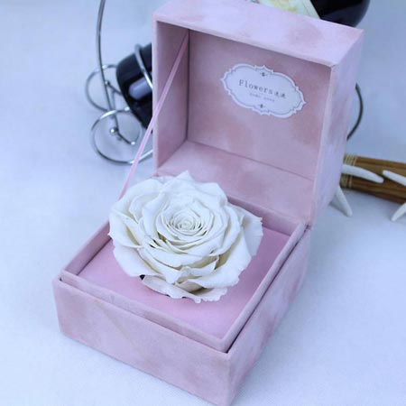 ���ݱ��r���������� �ζ��õ��