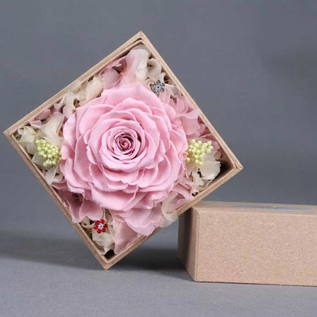 ���ݽ��Ʌ^���r���������� �ζ��ɫõ��