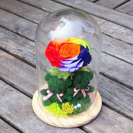 �K�ݱ��r���������� ��������