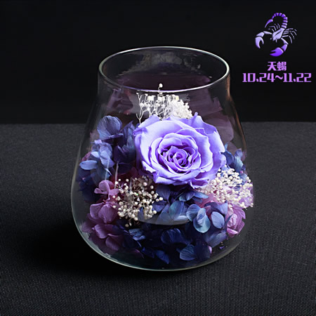 �Ϻ����t�^���r�������r�� ��Ы��