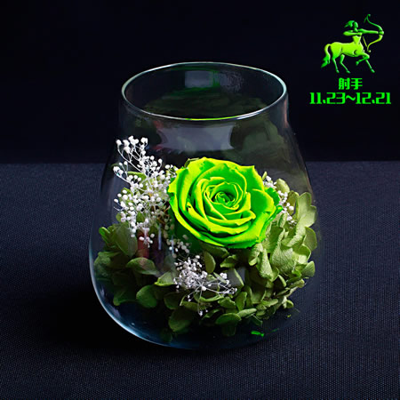 ���ݽ��Ʌ^���r�������r�� ������