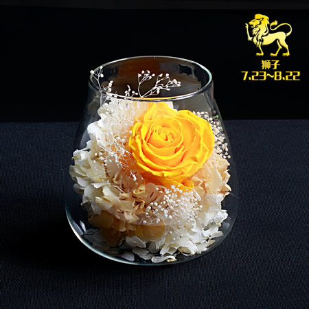 ���ݽ��Ʌ^���r�������r�� �{����