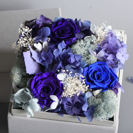 ����̫ƽ�^���r�������r�� BX135