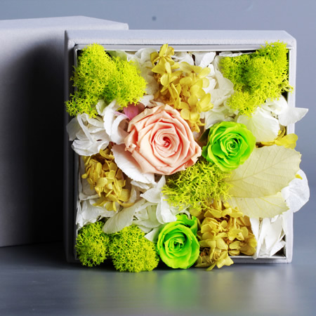 �P�Ǳ��r�������r�� BX134