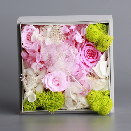 �ϲ��h���r�������r�� BX133