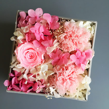 �K�ݱ��r�������r�� BX167