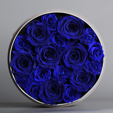 �K�ݱ��r�������r�� BX136