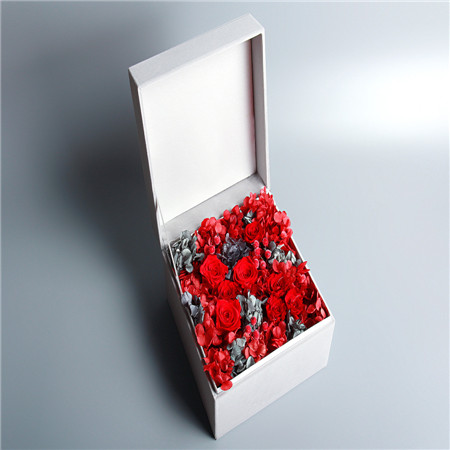 �������Ѕ^���r�������A��tɫ