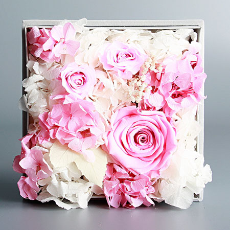 ��ƽ���r��������Đ�(��i)  ��ɫ