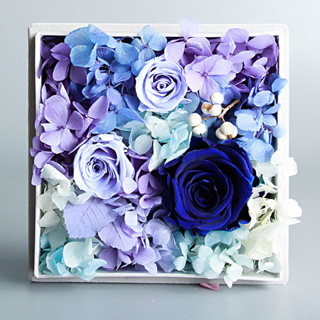 ���ڱ��r��������Đ�  �{ɫ