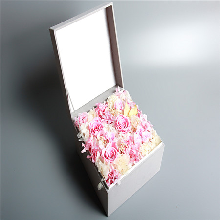 �Ϻ����t�^���r�������A���ɫ