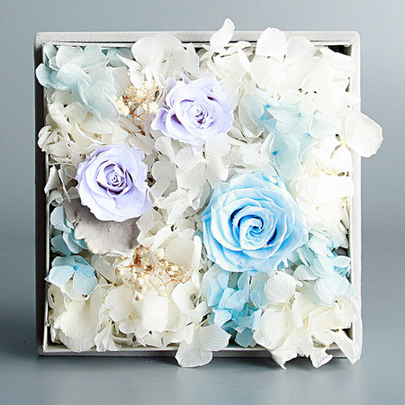 ��ƽ���r��������Đ�(��i)  ���{(l��n)ɫ