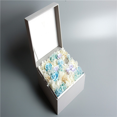 ���ݽ��Ʌ^���r�������A�����{ɫ