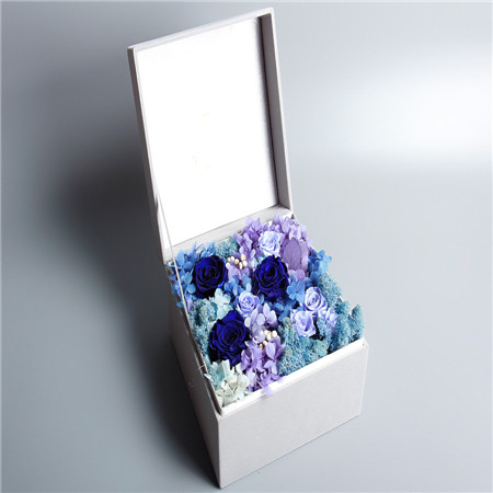 �������Ѕ^���r�������A���{ɫ