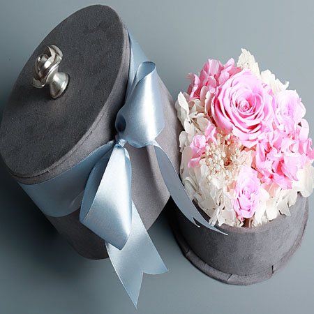 ���ݽ��Ʌ^���r��������A�M  ��ɫ