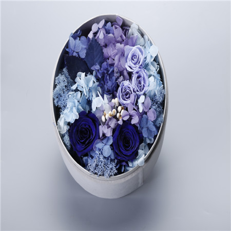 ��ꖱ��r������A���{ɫ