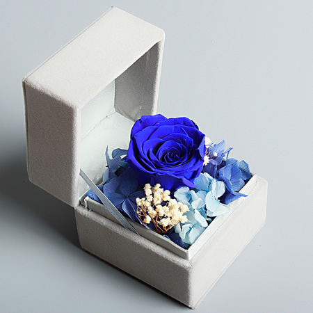 �R���r����С�����  �{ɫ