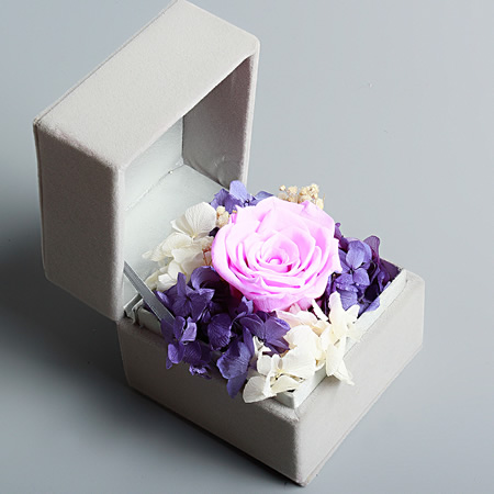 �����S�M�^���r����С�����  ��ɫ