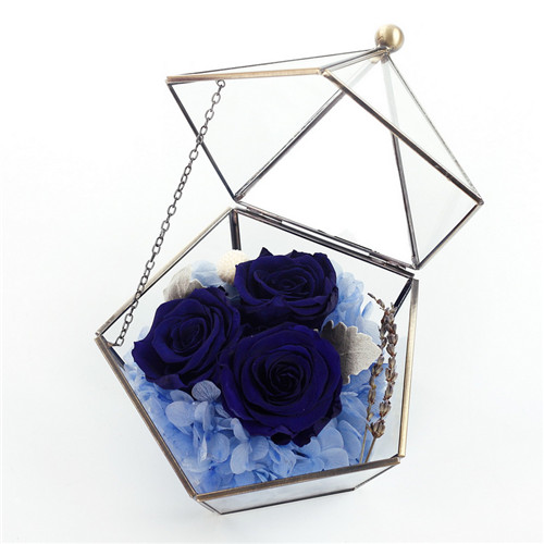 Т��Т�υ^���r�������r�����ǲ����������{