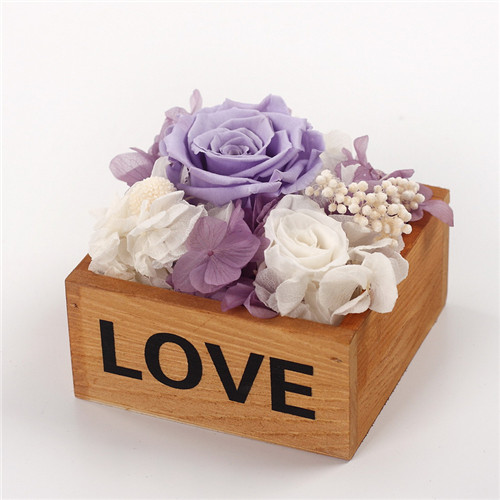 �K�ݱ��r�������r��ľ��love�\��