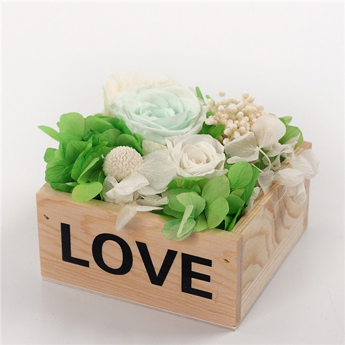 ���ݽ��Ʌ^���r�������r��ľ��love�\�G