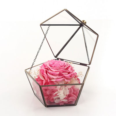 �Ͼ����υ^���r�������ǲ������� �ζ��ɫ