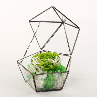 �R̶���r�������ǲ������� �ζ�Gɫ