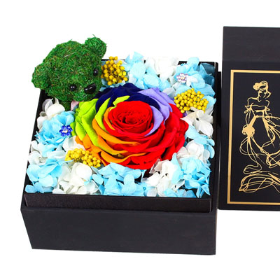 ���T�(zh��n)-ӆ��