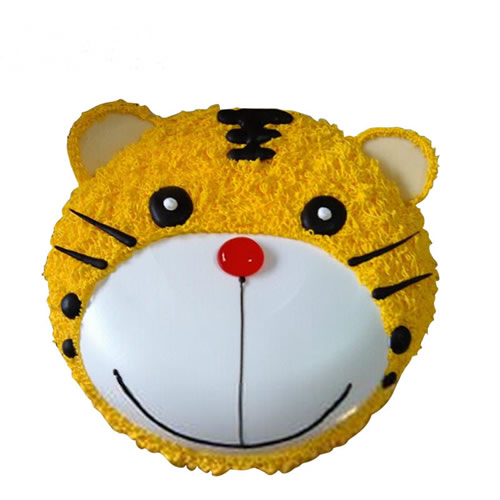 �|���-��������