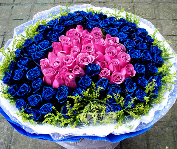 ˮ���(zh��n)-�W(w��ng)�j(lu��)ӆ��