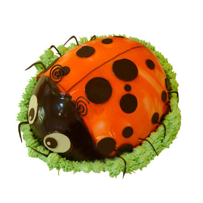 ��ͨ·-�ך��x