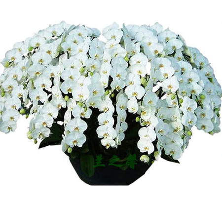 >�Gֲ���׺����m