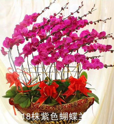 >�Gֲ�������m