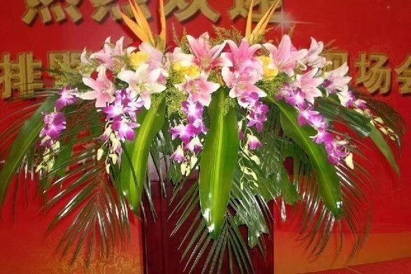 ����ʡ�_�I(y��)���@���v�_��4