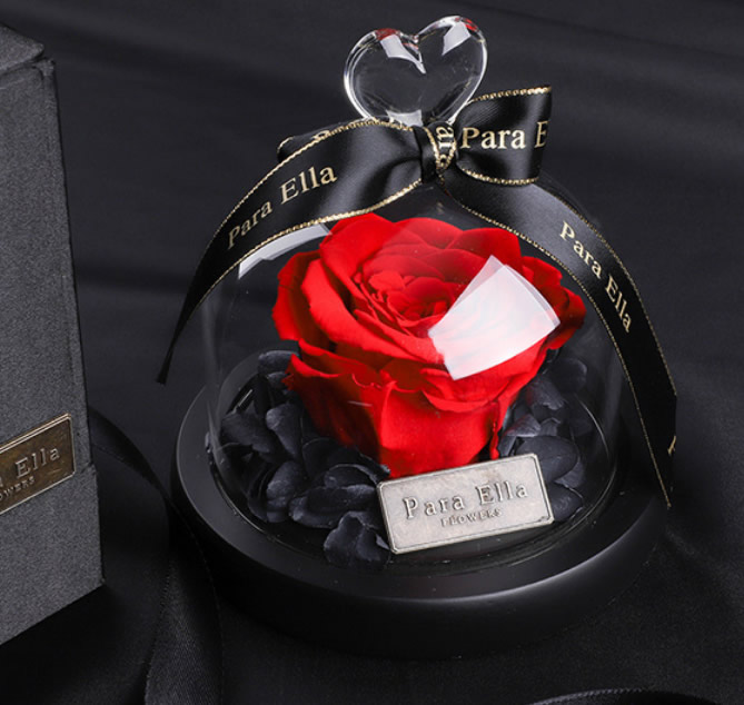 ���̳�-�r���YƷ