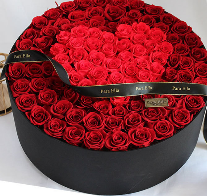 �Q����ɽ�^��������������������-������