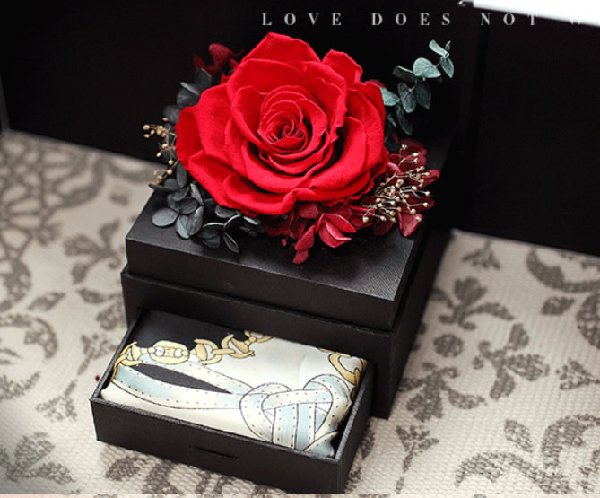 �Ϻ����t�^���������tɫ���-������