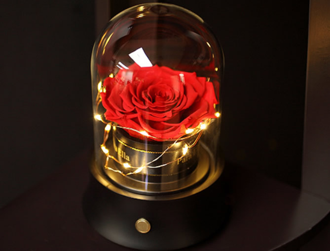 ����|������������?y��n)����?�{(l��n)��������