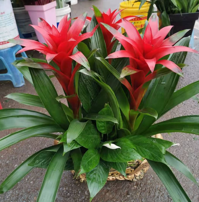 >�Gֲ���t�\��(d��ng)�^