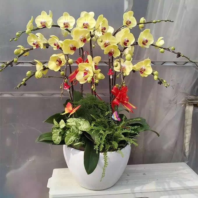 >�Gֲ�������m