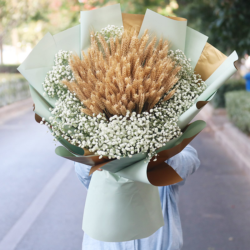 ����ʡ�_�I(y��)���@�����u����