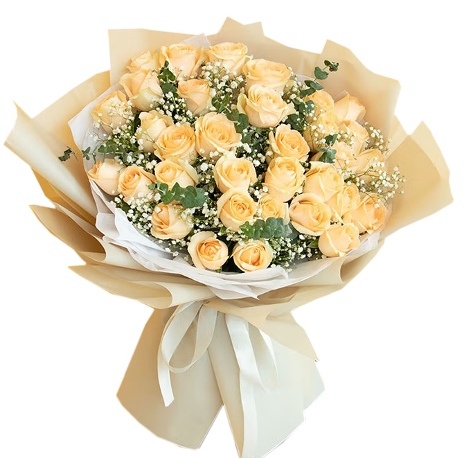 ����(m��ng)����