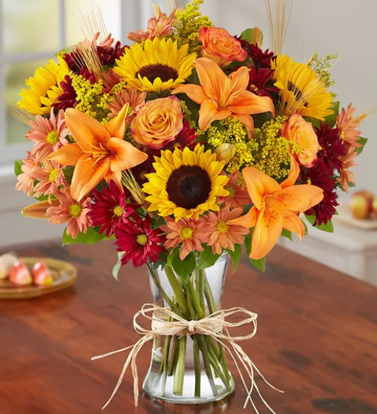 �ຣʡ�r��-����ĶY��