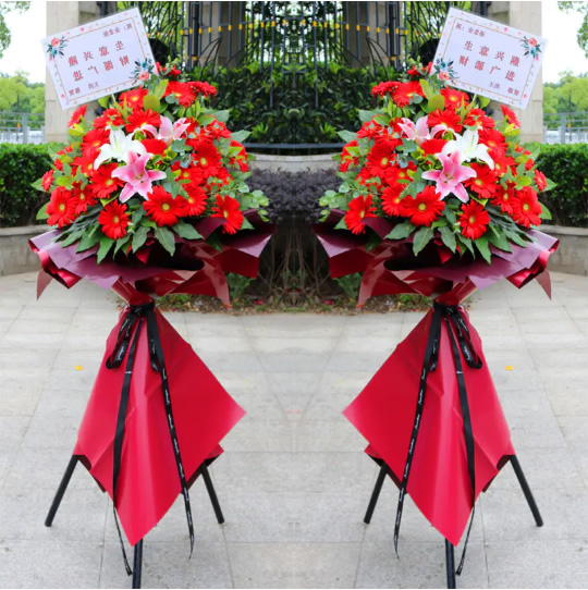 ����ʡ�_�I(y��)���@���_�I(y��)���{(l��n)5���΂���